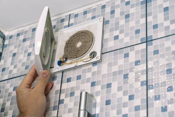 Best Air Duct Sanitizing Services  in Grapevine, TX