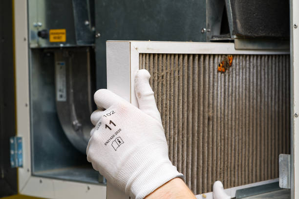 Best Air Duct Cleaning Company Near Me  in Grapevine, TX