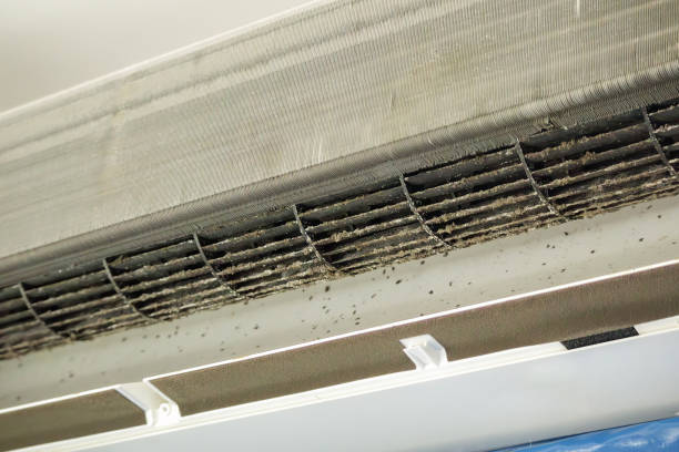 Best Professional Duct Cleaning Services  in Grapevine, TX
